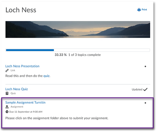 Assignment link in content area